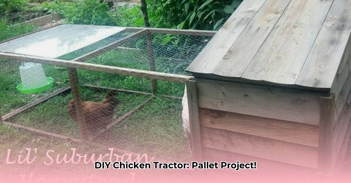 chicken-tractor-from-pallets